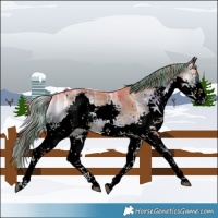 Horse Color:Void Painted Watercolor Liver Red Onyx Ice Splash Tobiano 