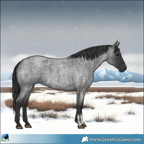 Horse Color:Blue Roan Sabino Rabicano 