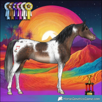 Horse Color:Brown Tobiano 