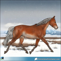 Horse Color:Silver Bay Rabicano