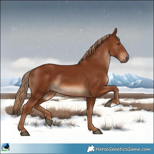 Horse Color:Chestnut Rabicano