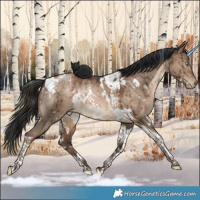Horse Color:White Spotted Brown Pearl Dun Tobiano Brindle 