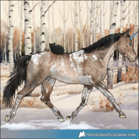 Horse Color:White Spotted Brown Pearl Dun Tobiano Brindle