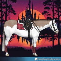 Horse Color:Classic Champagne Splash