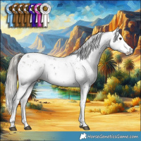 Horse Color:Liver Chestnut Mushroom Sabino 