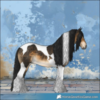 Horse Color:Gray Buckskin Tobiano 