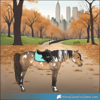 Horse Color:White Spotted Buckskin Rabicano 