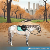 Horse Color:White Spotted Bay Dun Appaloosa 