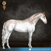 Horse Color:Silver Bay Roan Splash Frame Rabicano 