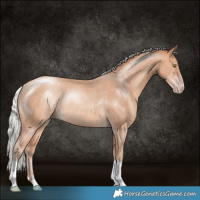 Horse Color:Silver Amber Champagne Rabicano 