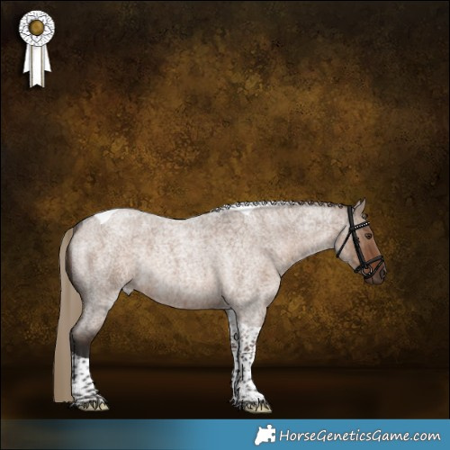 Horse Color:Liver Red Dun Roan Tobiano Rabicano Brindle