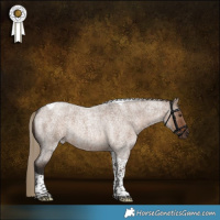 Horse Color:Liver Red Dun Roan Tobiano Rabicano Brindle 