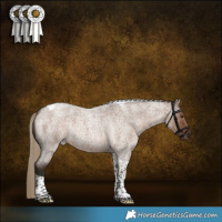 Horse Color:Liver Red Dun Roan Tobiano Rabicano Brindle 