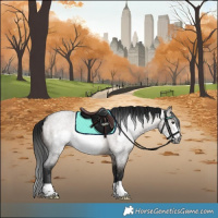 Horse Color:Gray Brown Roan Dun Frame 