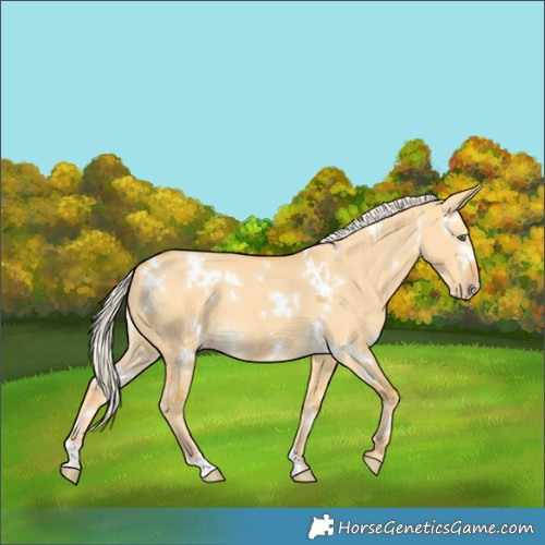 Horse Color:White Spotted Silver Classic Cream Champagne Dun 