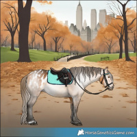 Horse Color:Gray Buckskin Blanket 
