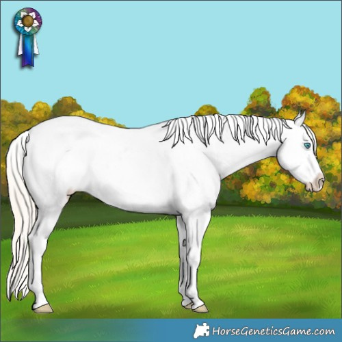 Horse Color:Palomino Pearl Varnish Rabicano 