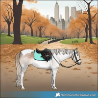 Horse Color:Gray Chocolate Palomino Roan Tobiano 