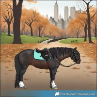 Horse Color:Brown 
