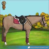 Horse Color:Classic Champagne