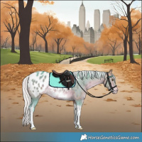 Horse Color:Watercolor Silver Bay Tobiano Near Leopard Rabicano 