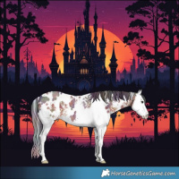 Horse Color:Nacre White Spotted Brown Sabino Splash