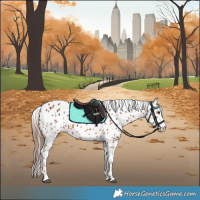 Horse Color:Chestnut Appaloosa Rabicano