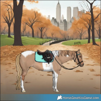 Horse Color:Red Dun Tobiano 