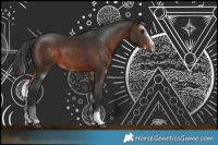 Horse Color:Brown Sabino