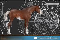 Horse Color:Silver Bay Sabino