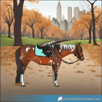 Horse Color:White Spotted Bay Tobiano 