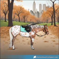 Horse Color:White Spotted Silver Bay Tobiano Appaloosa Rabicano 