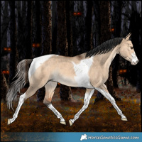 Horse Color:White Spotted Bay Dun Tobiano Rabicano 