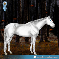 Horse Color:Gray White Spotted Silver Smoky Black Splash Tobiano Varnish