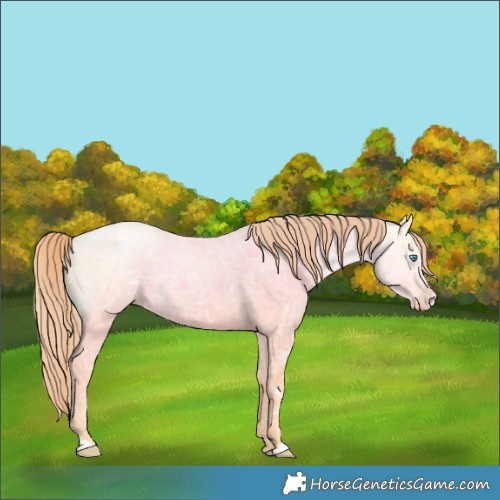 Horse Color:Classic Cream Champagne Ice Pearl 