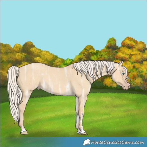 Horse Color:Silver Classic Cream Champagne Ice Dun 