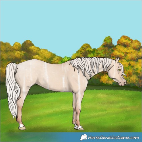 Horse Color:Silver Classic Champagne Ice Dun 