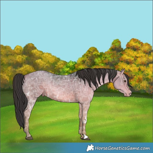 Horse Color:Brown Ice 