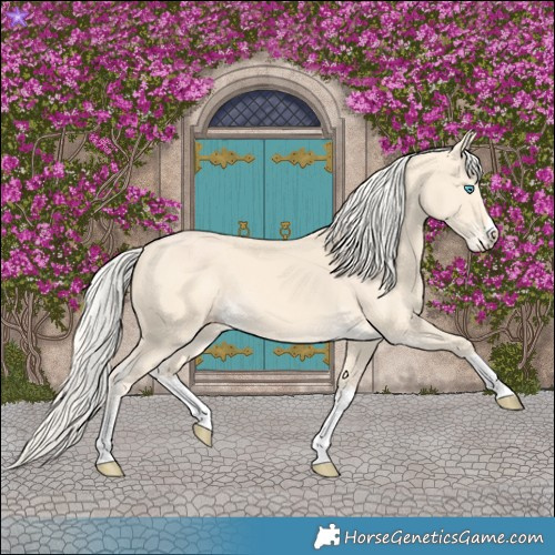 Horse Color:Cremello Splash  and Cremello Splash 