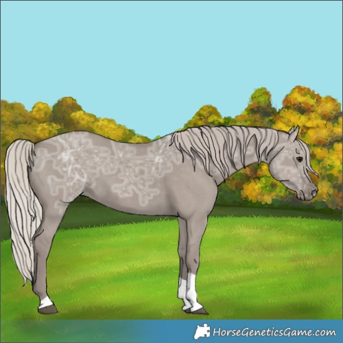 Horse Color:Silver Grullo Ice Tobiano 