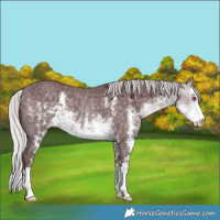 Horse Color:Chocolate Silver Buckskin Chinchilla Sabino 