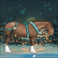 Horse Color:Gray Black Pearl Appaloosa