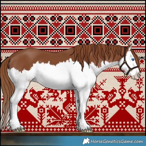 Horse Color:Chestnut Splash 