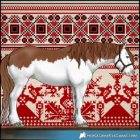 Horse Color:Chestnut Splash 