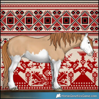 Horse Color:Red Dun Splash 