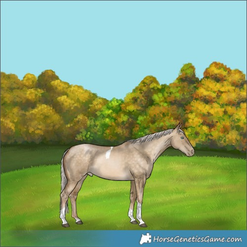 Horse Color:Silver Brown Snowdrop Pearl Dun Tobiano 