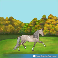 Horse Color:Silver Brown Pearl Dun Tobiano