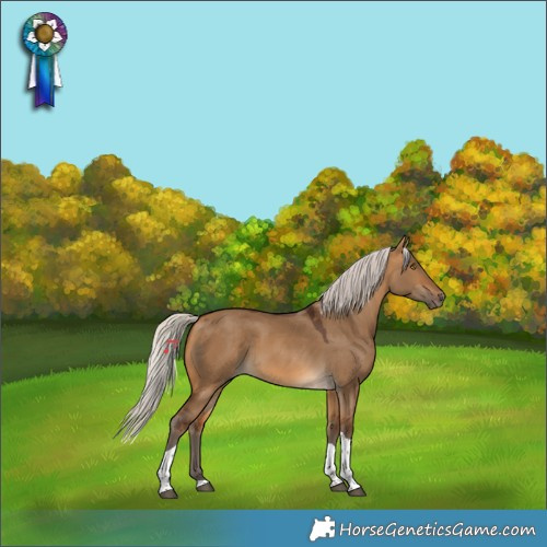 Horse Color:Silver Buckskin Dun Tobiano 