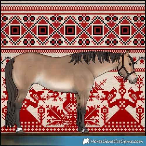 Horse Color:Bay Dun