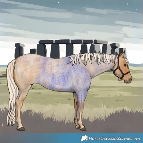 Horse Color:Palomino Roan Rabicano 